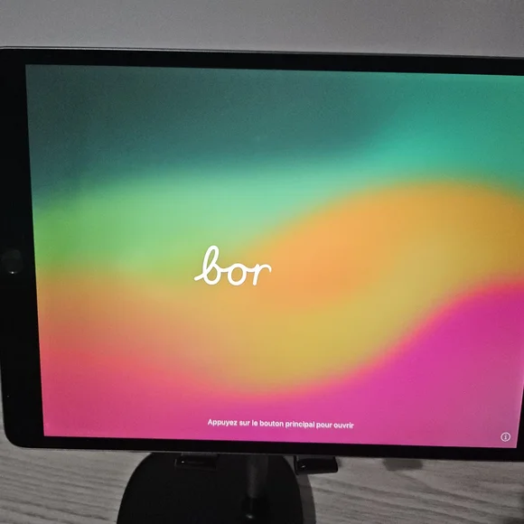 Apple iPad