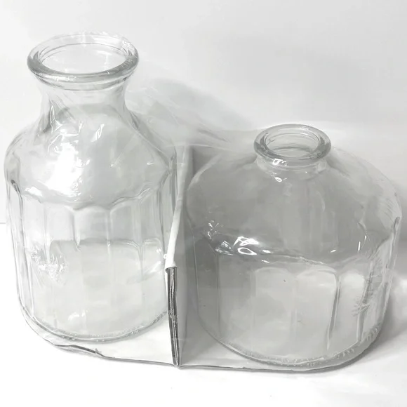 Target 🎯 Set of 2 Large Glass Bud Vases