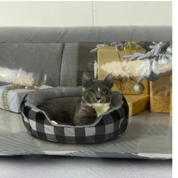 Vibrant Life Round Cuddler Small Dog / Cat Bed Black and White Plaid 19