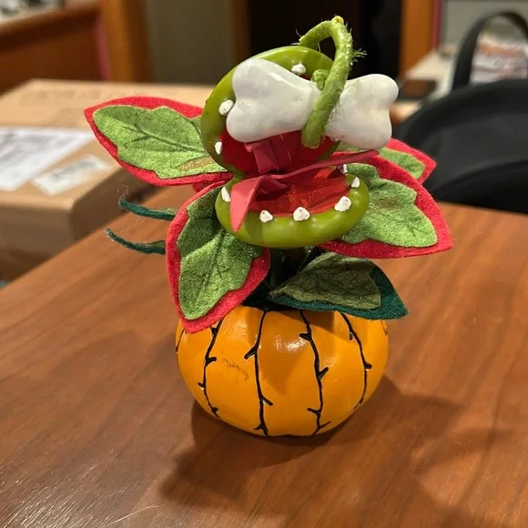 Target Hyde & Eek Halloween Succulent