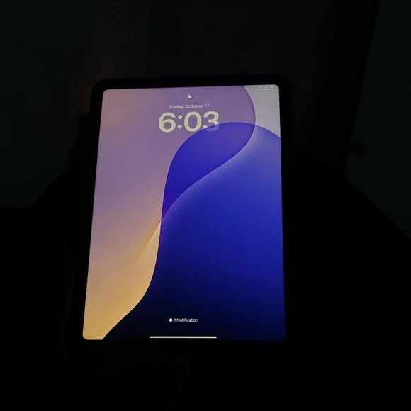 Apple iPad with Black Bezel