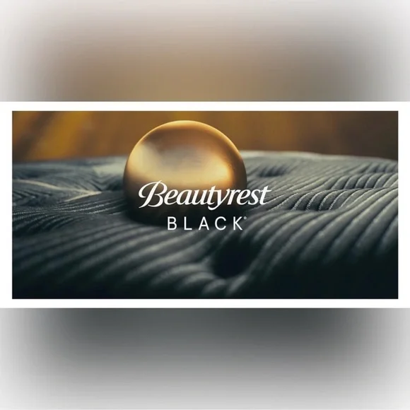 🎉LAST CHANCE🎉BEAUTYREST BLACK Luxurious 20x36 Down And Feather Blend Pillow