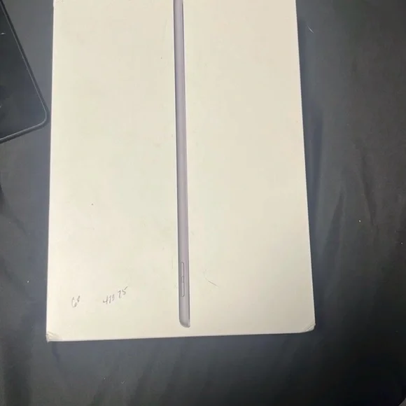 Apple Tablet - Sleek Silver