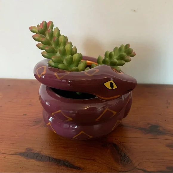 NIB Target Halloween Snake Succulent Planter