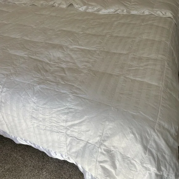 Royal Velvet Satin Trim Down Comforter 87