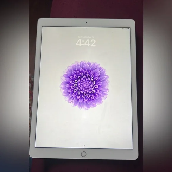 iPad Pro 12.9” 1st Gen 128G