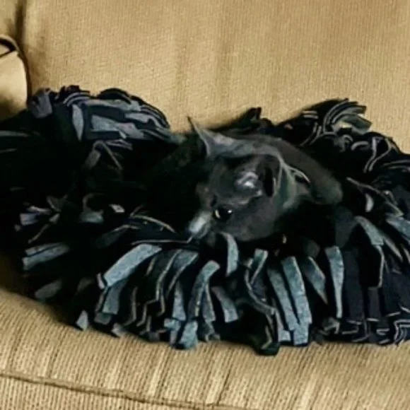 Feral Bedding 