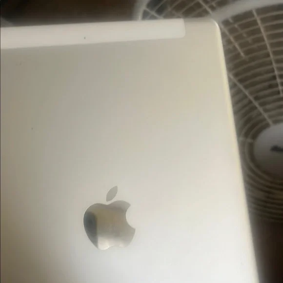 Apple Metallic Silver iPad