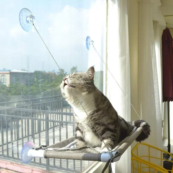 Cat Bed Window, Cat Window Hammock Window Perch, Safety Cat Shelves