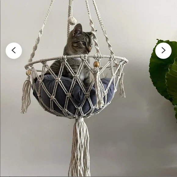 Kitty Hammock