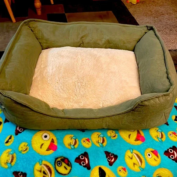 cat bed