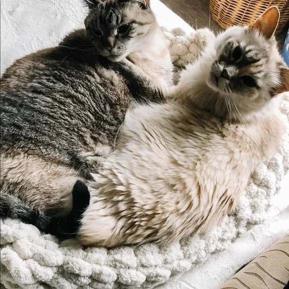 Chunky Knit Pet Beds
