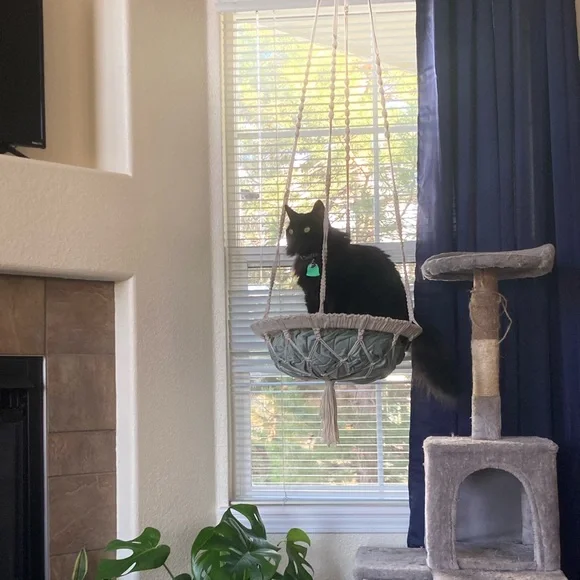 Handmade macrame cat swing