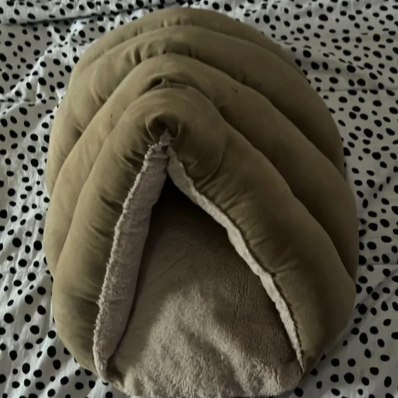 Kitten bed