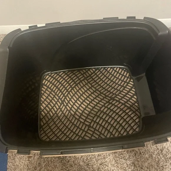 Cat Supplies & Accessories
