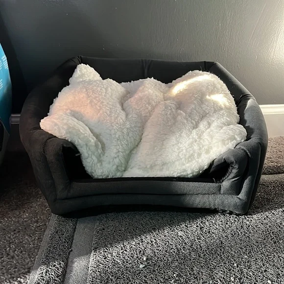 2 in 1 cat bed
