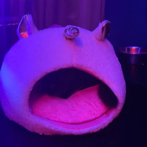 UNICORN CAT BED 🐈‍⬛