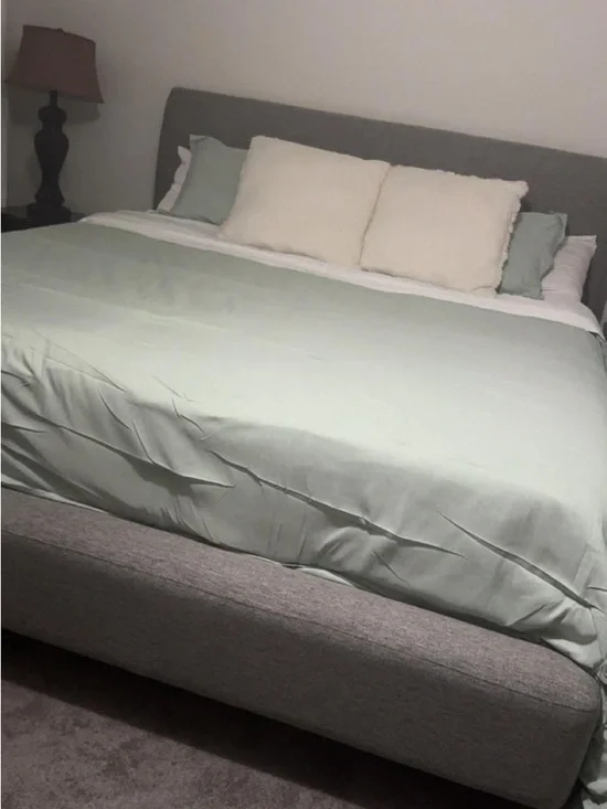 Calming Sage Green Oversized King Comforter Set