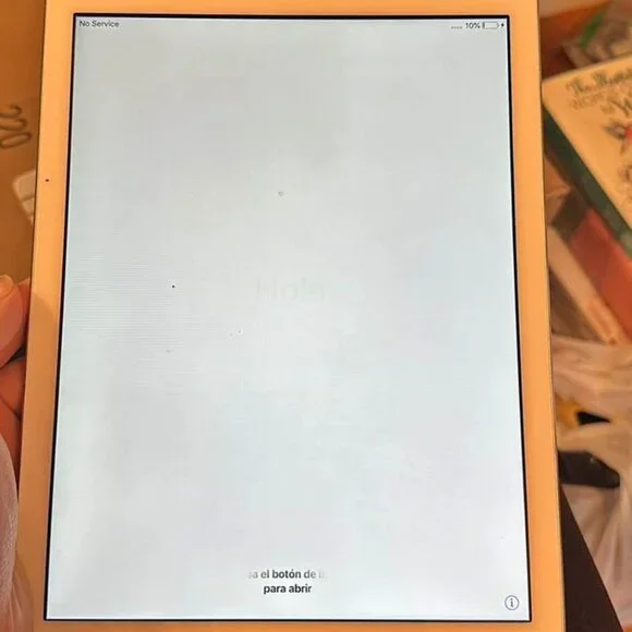 Apple Ipad