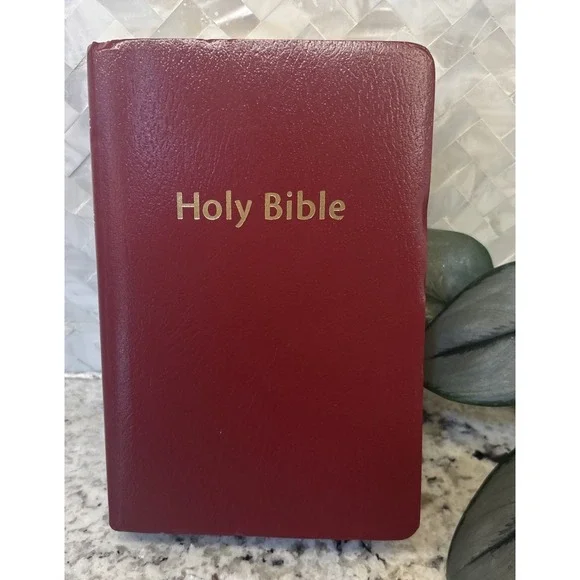 Zondervan Red Holy Bible With Helps New International Version ZonderKidz