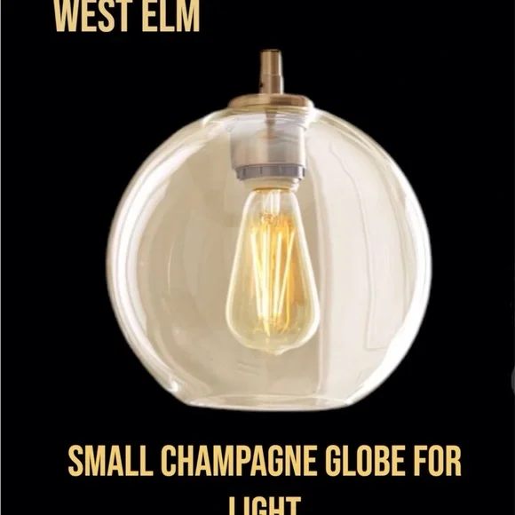 West Elm Champagne Globe Light Fixture