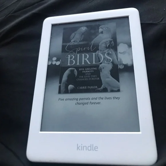 Amazon kindle