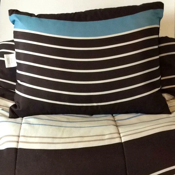 Full Size Comforter with Coordinating Throw Pillow