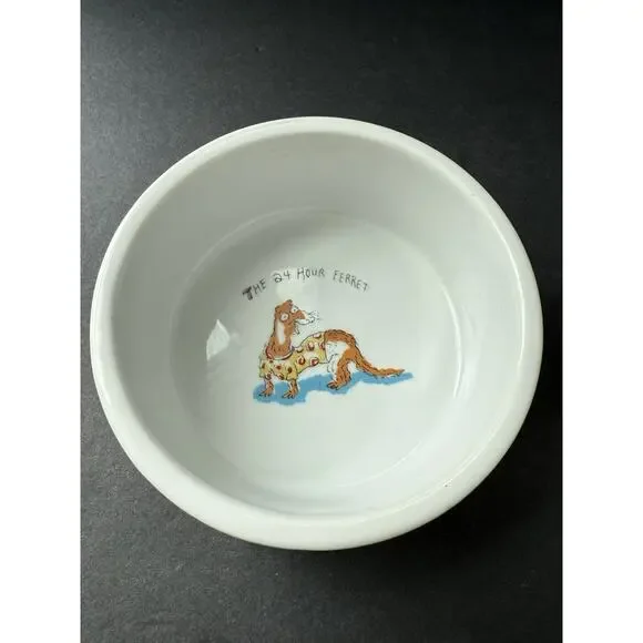 Cat Food Water Dish Ceramic The 24 Hour Ferret Debra Solomon Whimsycore