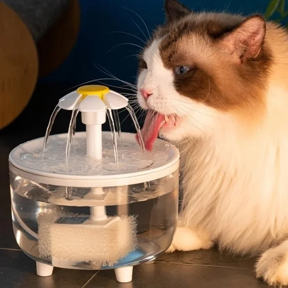 Transparent Pet Water Fountain Automatic Cat & Dog‎ Flower USB Powered Dispenser
