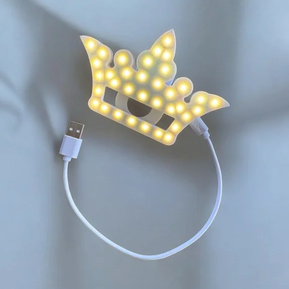 Selfie Light Princess Crown Disney Rechargeable Adjustable Lighting!