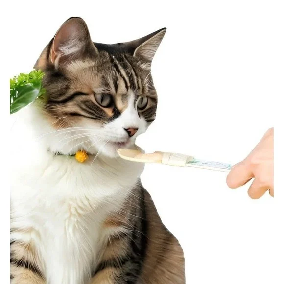 2 Pc Cat Food‎ Spoon Strip Feeder Wet Snack Ladle Plastic 11 x 3 Green & Beige