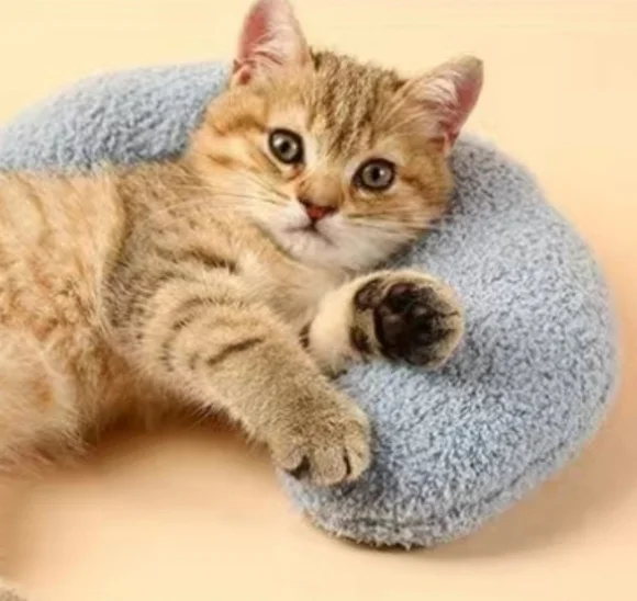 Kitten/CAT KIT NWT + 1st Aid book