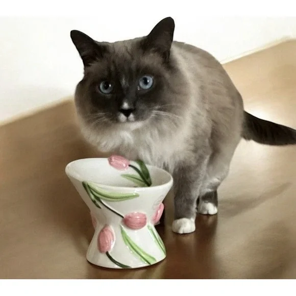 Mellow & Mod Cat Drinking Water Tall Bowl 