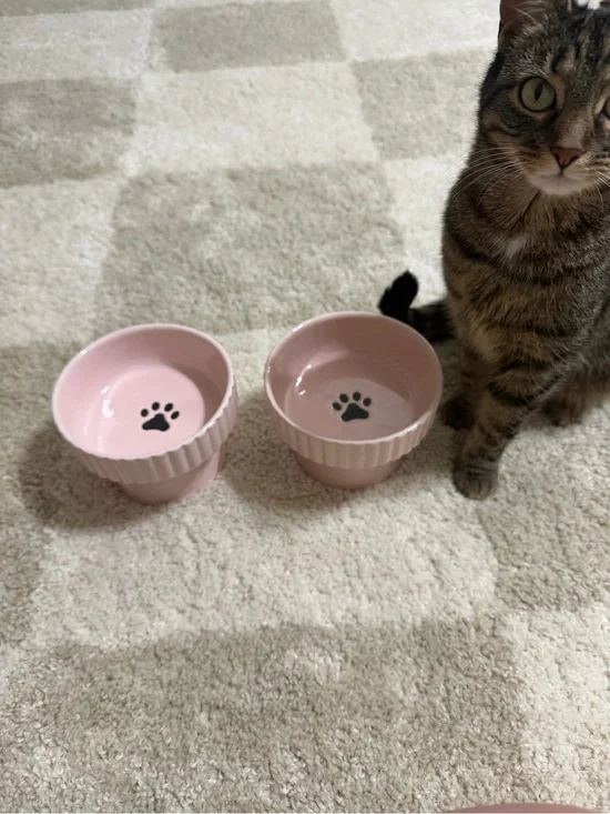 Pink Cat Paw Raised Pet Bowl Set