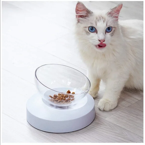 Modern Gray Pet Bowl
