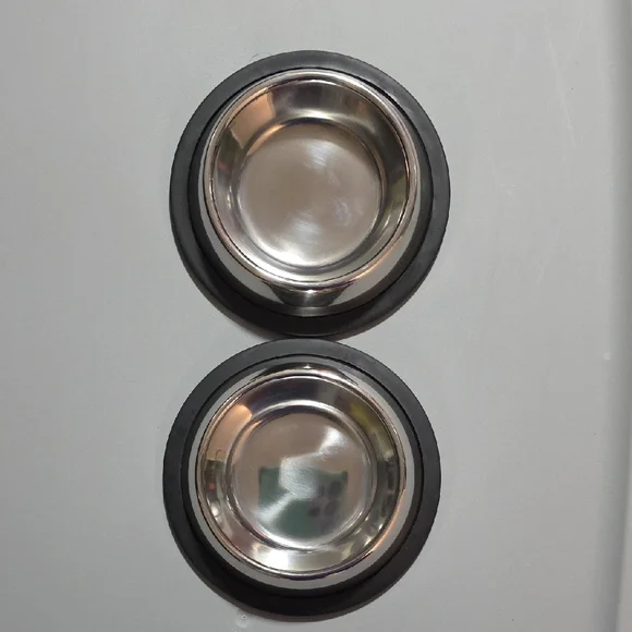 Stainless Steel Pet Bowls with Black Trim