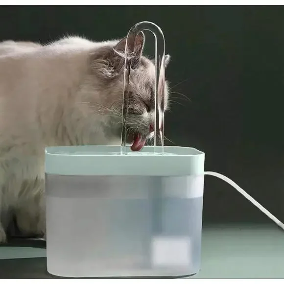 cat water fountain