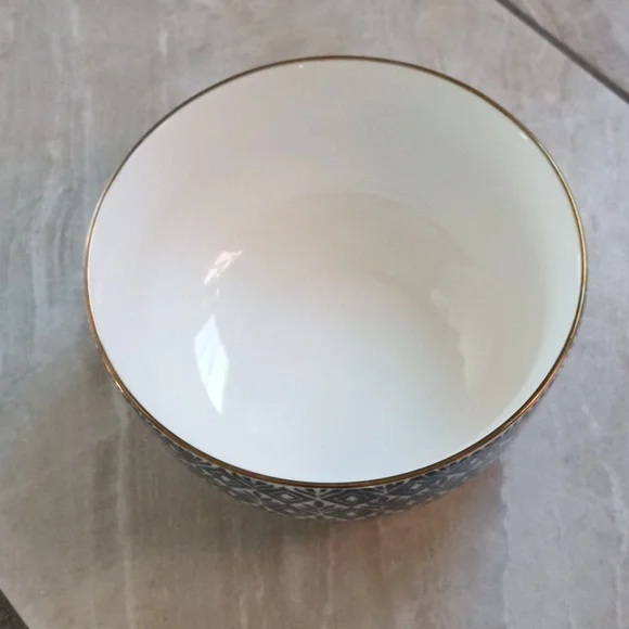 Cat water bowl