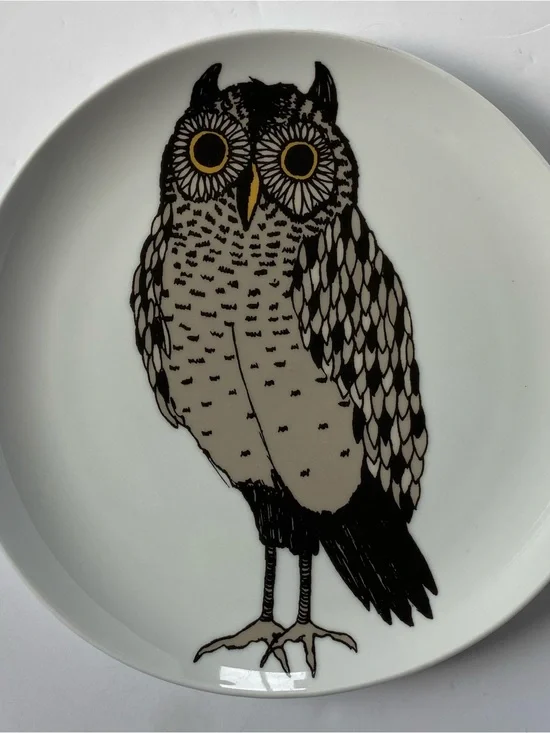 West Elm Owl Plate 8.5”Serving Art Drawing Display Bird Ceramic Birding EUC
