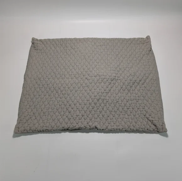West Elm Organic Cotton Pillow Shams - Set Of 2 - 20x26