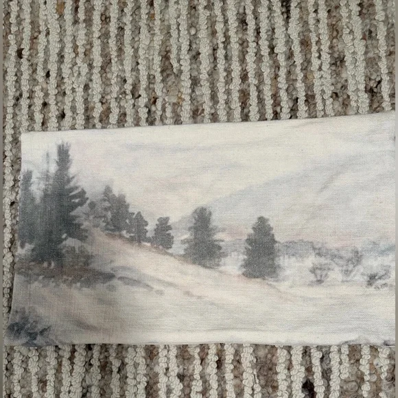 West Elm Brushed landscape pattern pillow 1 cover 12X21 cotton/viscose