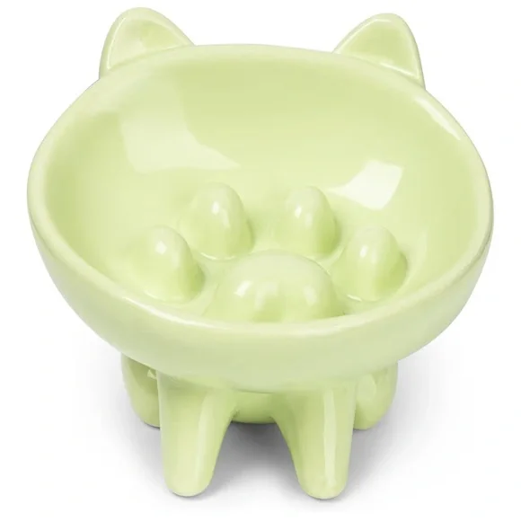 Ceramic Slow Feeder Bowl for Dog or Cat