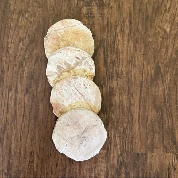 West Elm Petrified coasters set of 4