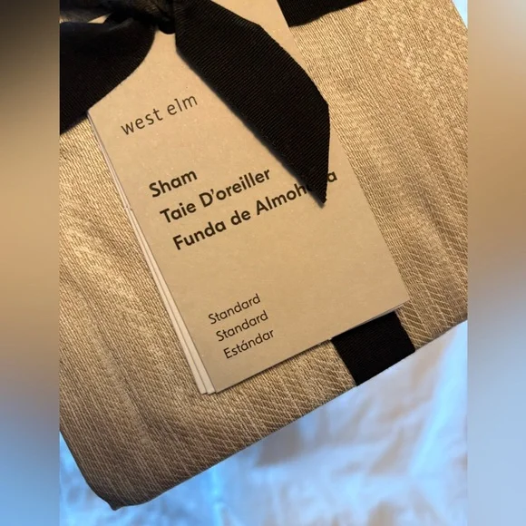 West Elm Silky TENCEL Striated Sham Pillow