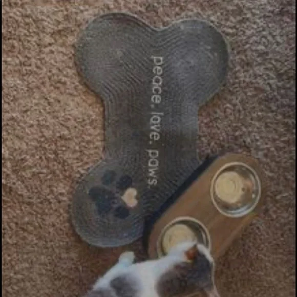 Cat matt and water/Food bowls