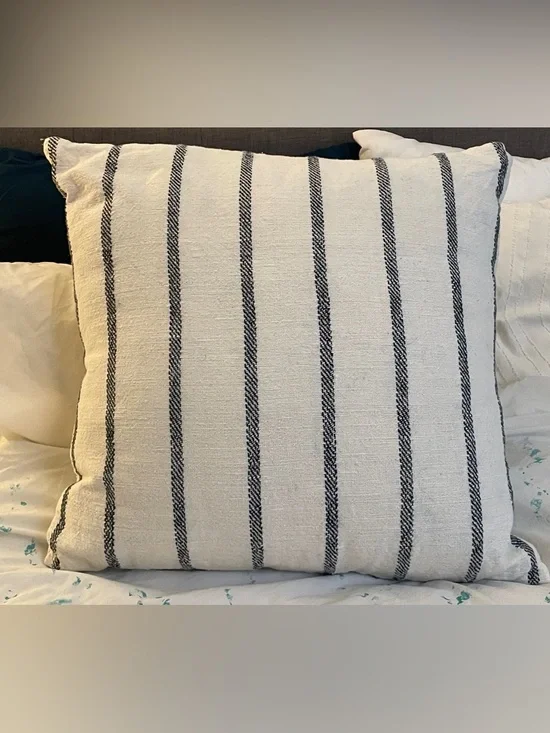 NWOT West Elm Striped Euro Sham with Woven Texture