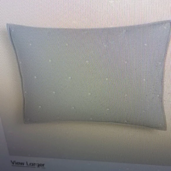 New West Elm organic washed cotton sham retail $45