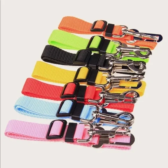 PET SEATBELT