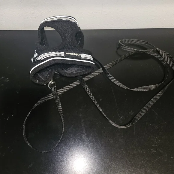 Black Cat Harness with Leash