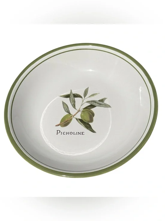 Williams Sonoma Olive Grove Picholine Salad Pasta Bowl Portugal Olive Motif 9.5”